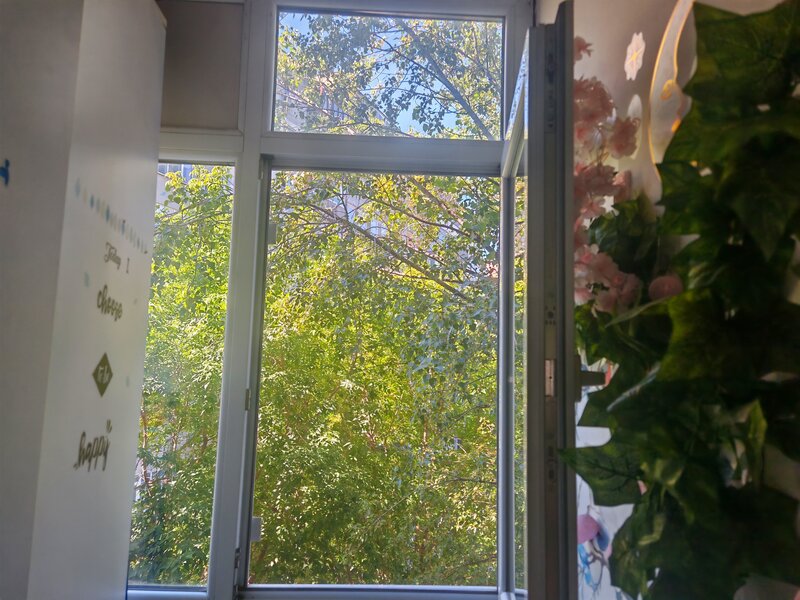Tineretului